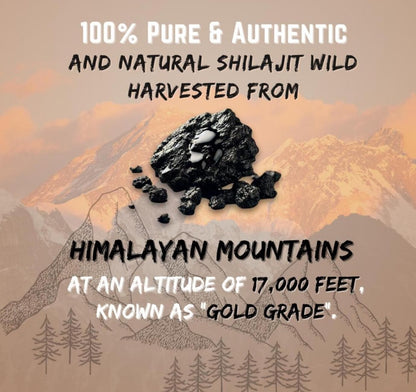 Hunzai Himalayan Organic Family pack 3Packs Shilajit  | 100 Percent  Natural | Ayurvedic Energy & Immunity Booster | Up to 70% Fulvic Acid.