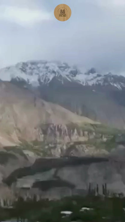 Shilajit Drops –Organic Himalayan Shilajit - Pure Himalayan Resin Extract II Himalayan Shilajit: 70% Fulvic Acid, Natural Energy Supplement